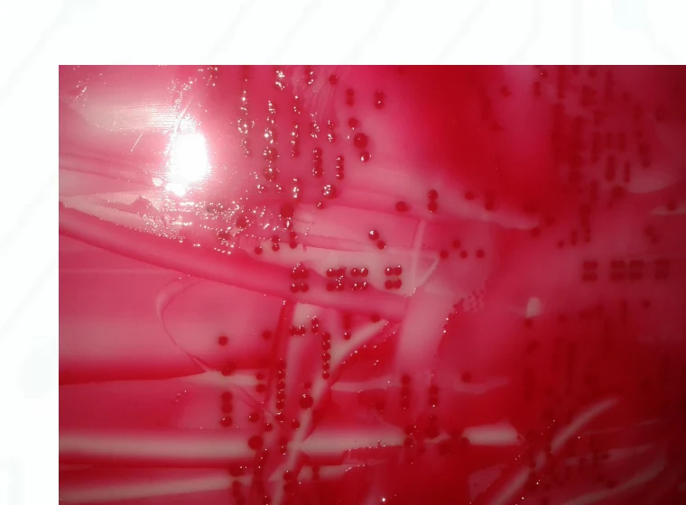 Resin stencil with red glue before cleaning