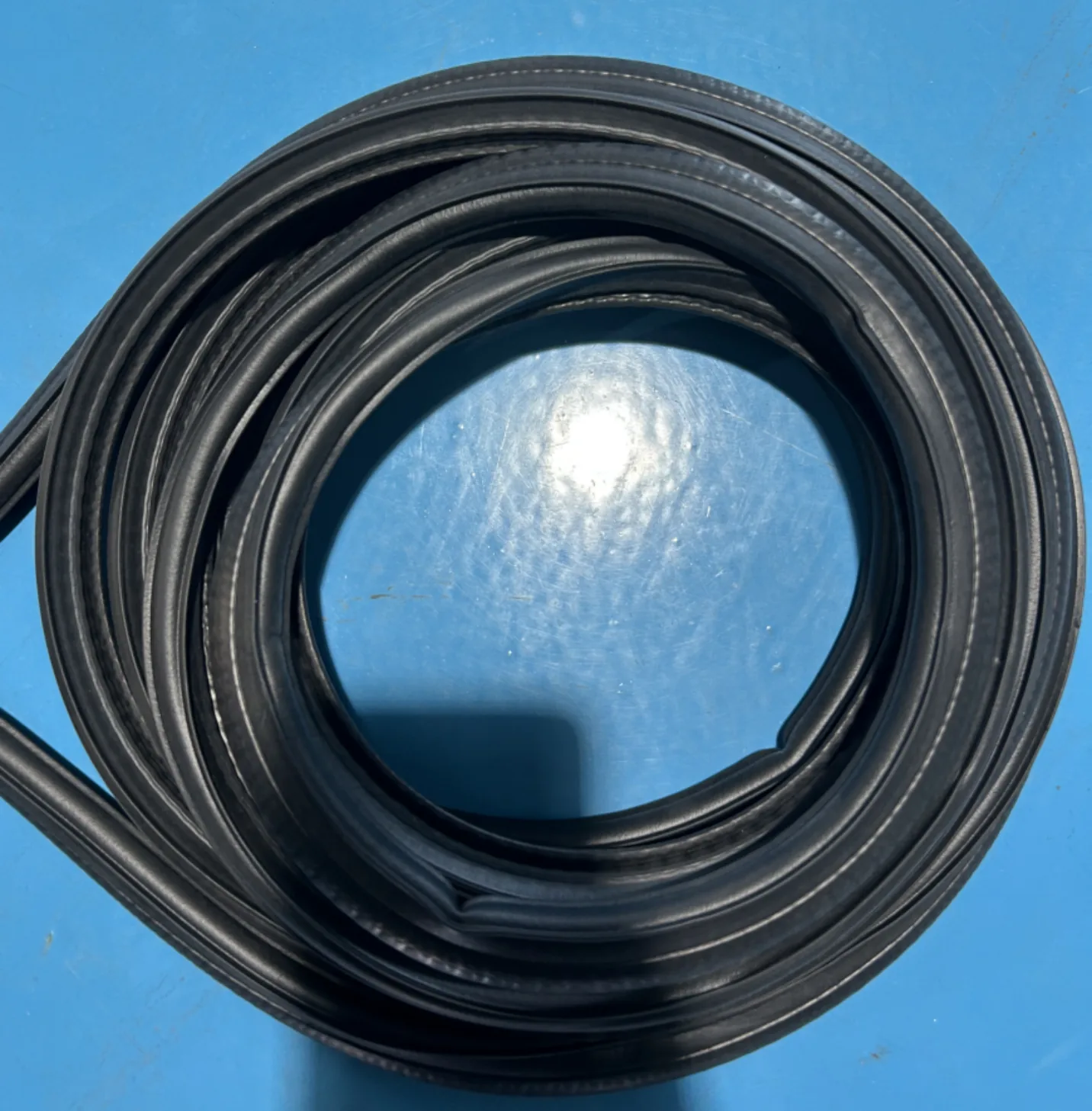 Door seal strip